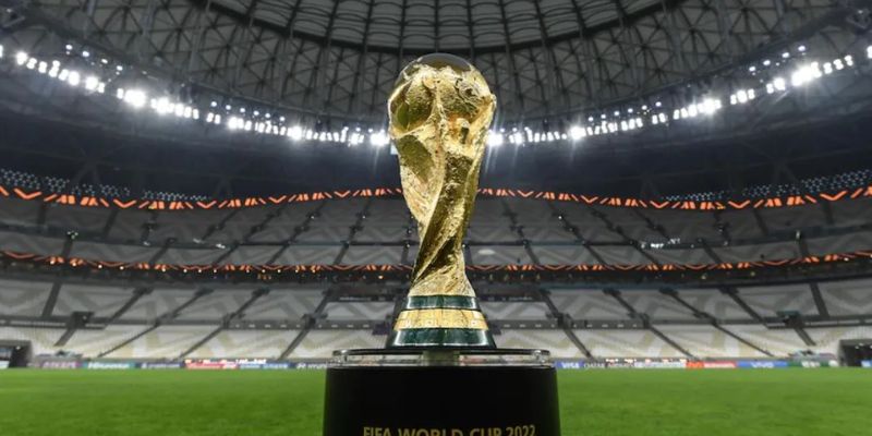 Cấu trúc và chi tiết Lịch thi đấu World Cup